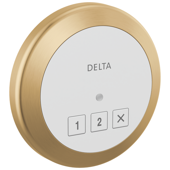 Delta Universal Showering Components: Round Exterior Steam Control