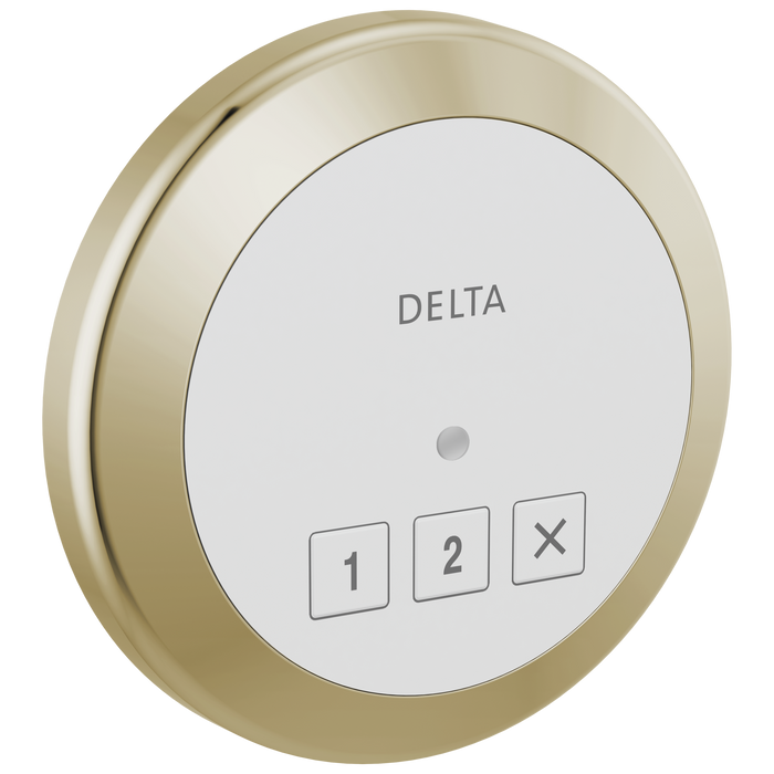 Delta Universal Showering Components: Round Exterior Steam Control