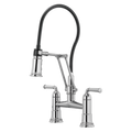 Chrome