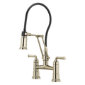 Polished Nickel