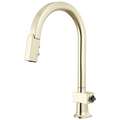 Polished Nickel