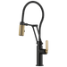 Brizo Brizo Litze: Articulating Faucet With Finished Hose