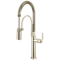 Polished Nickel