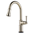 Polished Nickel