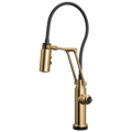 Polished Gold