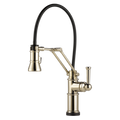 Polished Nickel