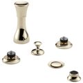 Polished Nickel