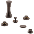 Venetian Bronze