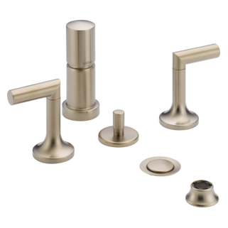 Brizo Odin: Bidet