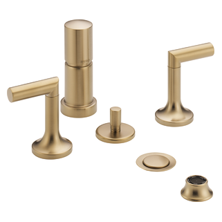 Brizo Odin: Bidet