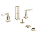 Polished Nickel