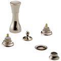 Polished Nickel