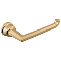 Polished Gold