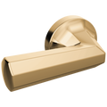 Polished Gold
