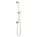 Polished Nickel