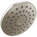 Spotshield Brushed Nickel