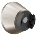 Spotshield Brushed Nickel