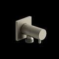 Brushed Nickel (BN)