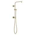 Polished Nickel