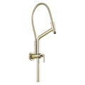 Polished Nickel