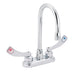 two-handle pantry faucet