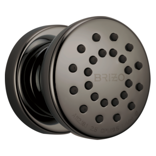 Brizo Other: Touch-Clean Round Body Spray
