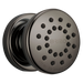 Brizo Other: Touch-Clean Round Body Spray
