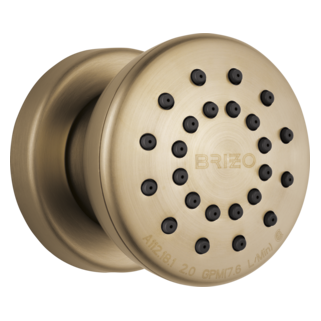 Brizo Universal Showering: Touch-Clean Round Body Spray