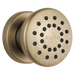 Brizo Universal Showering: Touch-Clean Round Body Spray