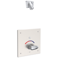 Chrome