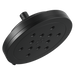 Brizo Other: 8” H<sub>2</sub>Okinetic<sup></sup> Round Multi-Function Wall Mount Showerhead