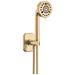 Brizo Beauclere 88865 Multi-Function Wall Mount Hand Shower - Polished Gold