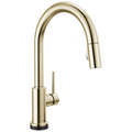 Polished Nickel