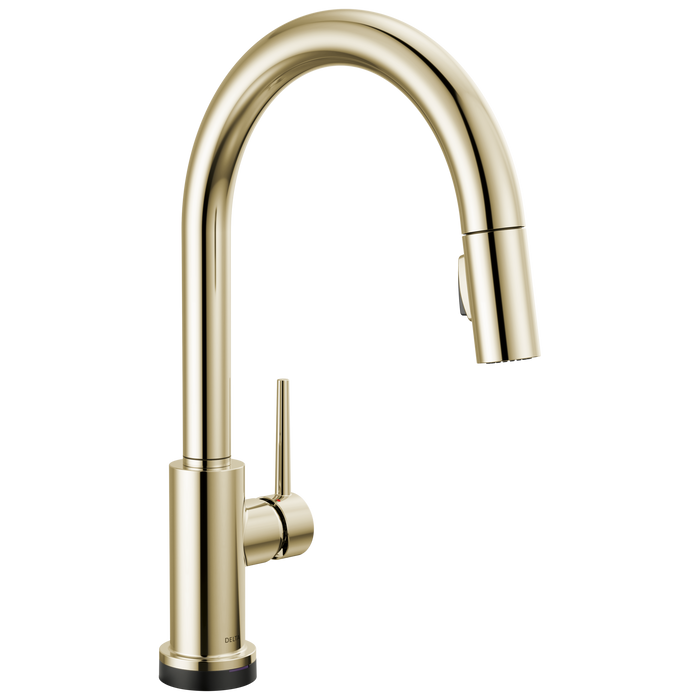 VoiceIQ Kitchen Faucet with TouchTouch 2O Technology with Touchless Technology