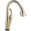 Champagne Bronze