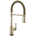 Polished Nickel