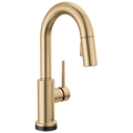 Champagne Bronze