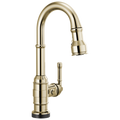 Polished Nickel