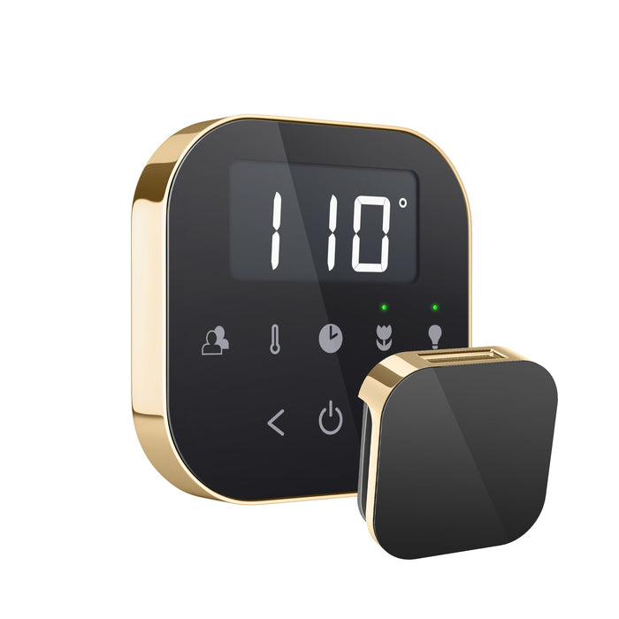 Mr. Steam AIRTBK-PB AirTempo® Black in Polished Brass