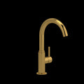 Brushed Gold (BG)