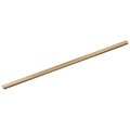 Polished Gold