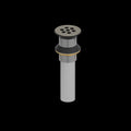 Brushed Nickel (BN)