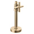 Champagne Bronze