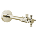 Polished Nickel