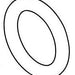 Brizo Invari RP100932 O-Ring