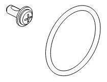 Brizo RP100983 Screw and O-ring