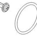 Brizo RP100983 Screw and O-ring
