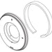 Brizo Invari RP101152PG Pressure Balance Valve Trim Escutcheon