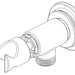 Brizo Invari RP101167PN Wall Mount Handshower Assembly