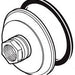 Brizo Charlotte RP70601PN Spout Base & Gasket